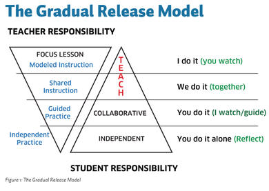 Gradual_Release_Model.jpg