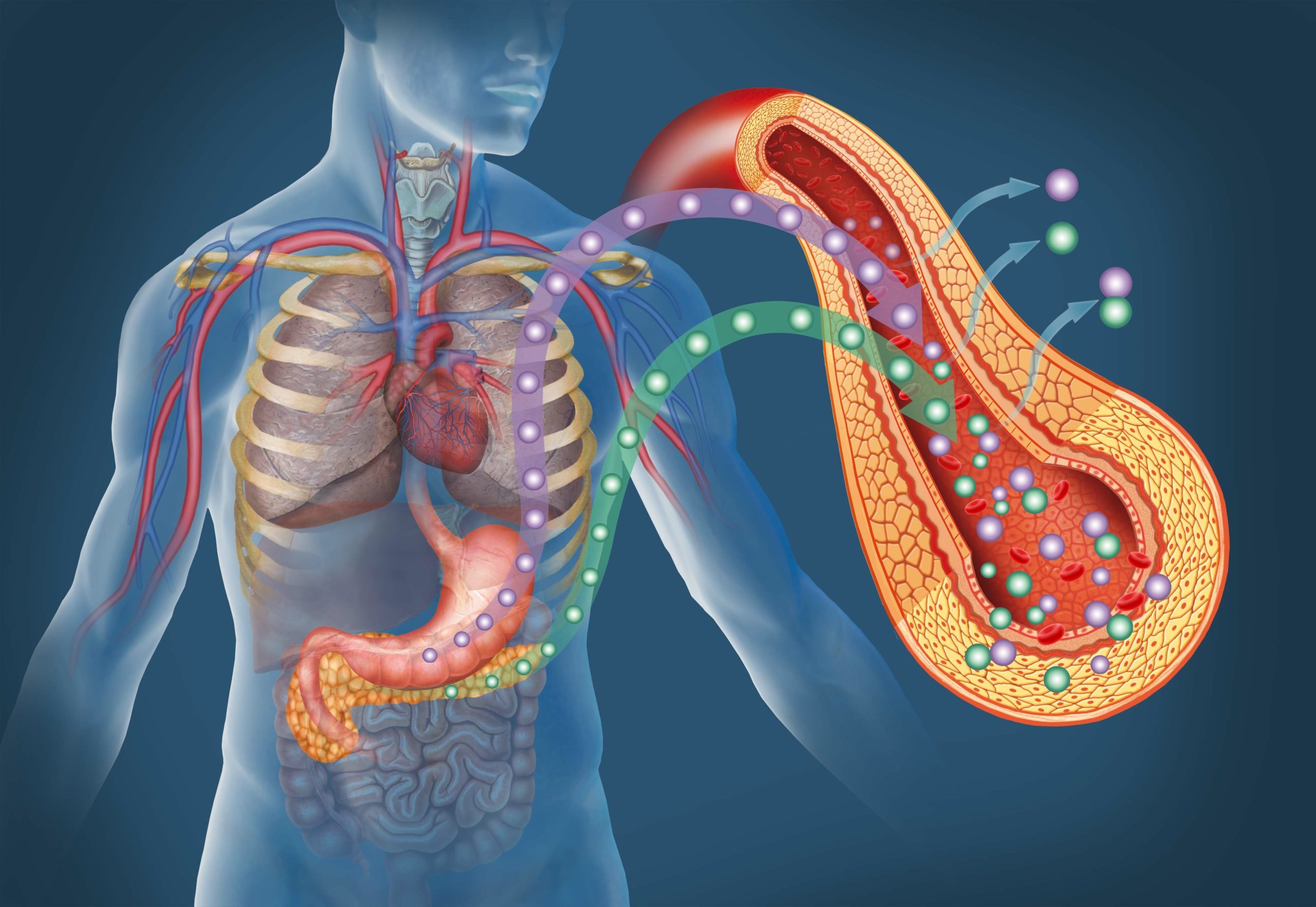 Breaking News: FDA Approves the MiniMed 670G System, World's First Hybrid  Closed Loop System - The LOOP Blog